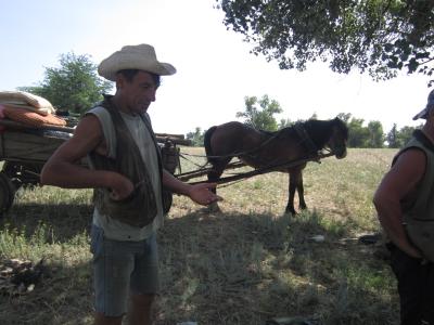 Прикрепленное изображение: IMG_0852.JPG